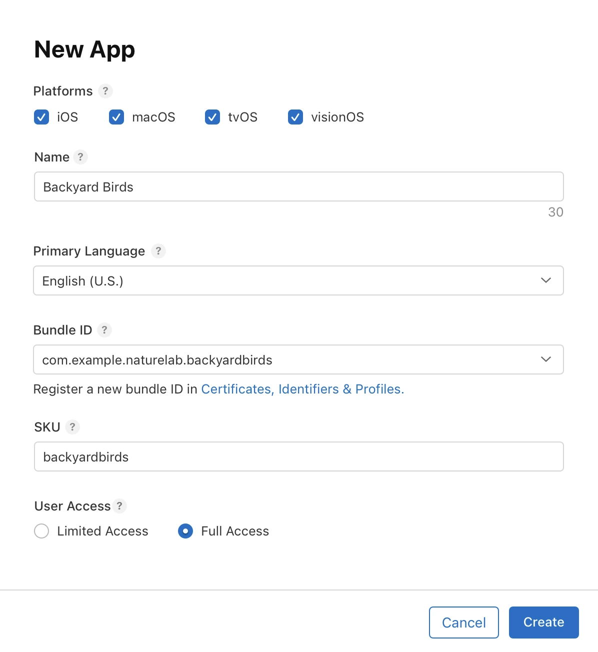 App Store Connect keeps the app record separate from the build and review submission.